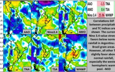 South American Precipitation and Teleconnections