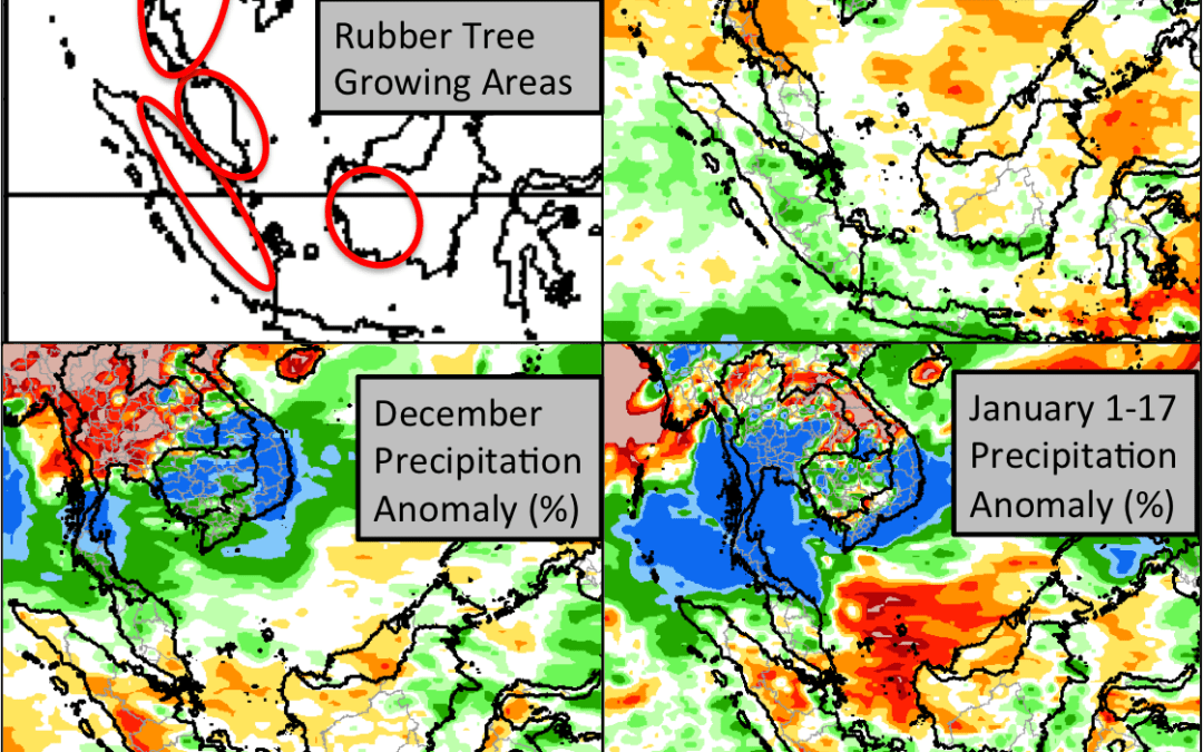 Rainfall, Thailand, Indo-Pacific