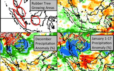 Rubber prices soar on flooding in Indo-Pacific