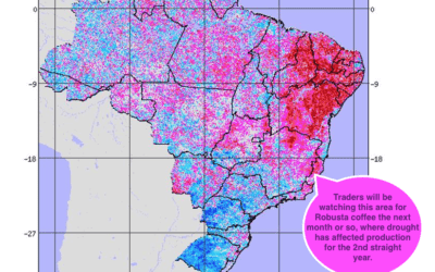 While Floods Hit Argentina Soybeans, A Little known Area in NE Brazil is Affecting Coffee Trading