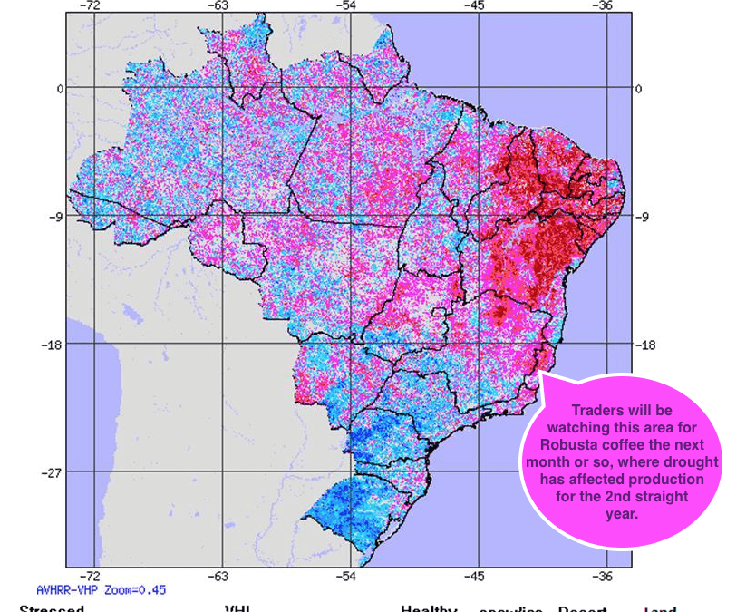 While Floods Hit Argentina Soybeans, A Little known Area in NE Brazil is Affecting Coffee Trading