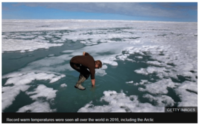 2016 Warmest Year Ever—New Research