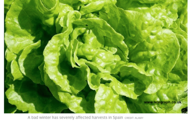 Vegetable Prices Soar in Europe, Extreme Cold; NOT Due to Any Sudden Ice Age