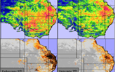 How Climatech predicted Australian heat; impact on crops