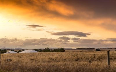 Australia agriculture lifted economy in 2016, does drought loom this year?