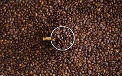 Coffee continues 8-month slide, no Brazil freeze in sight