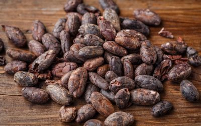 Cocoa Prices Soar on Demand and Too Wet in West Africa