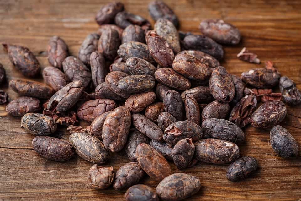 cocoa, cacao, futures, Africa