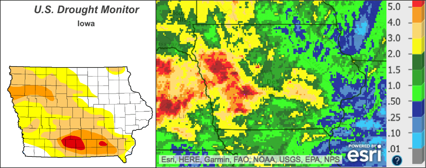 How We Forecasted the Billion Iowa Rain and Excerpts from Our Climatelligence Newsletter