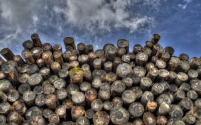 HURRICANE IRMA—POSSIBLE IMPACTS AND LUMBER MARKET