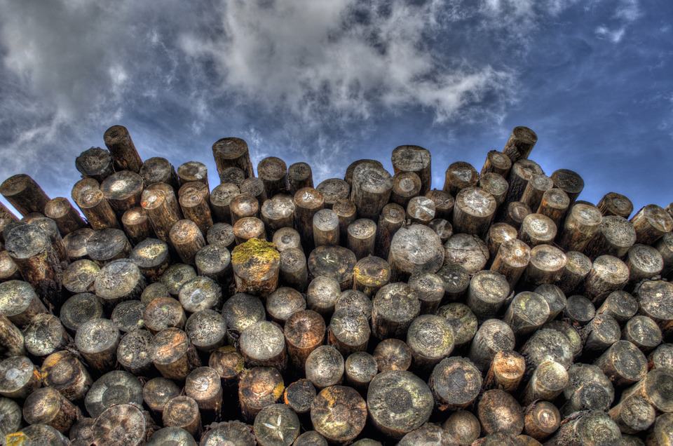 Lumber, futures, commodity, hurricane