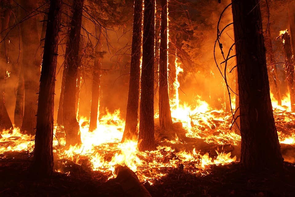 fire, California, wildfire, napa, weather