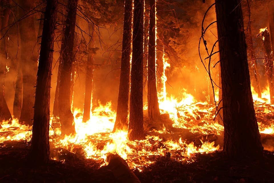 High Winds and Dry Weather Aided Deadly CA Fire; Rain on the way