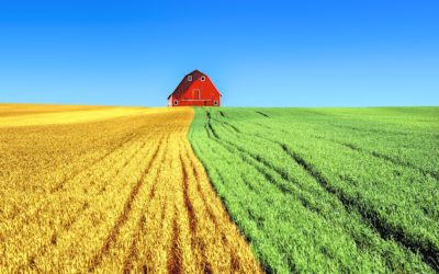 Developing global weather issues for grains?