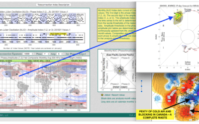 Soybeans explode on Argentina drought – How the MJO (predicted by CLIMATECH) pressured natural gas prices