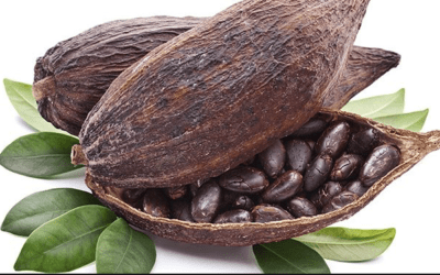 What’s behind the 40% move higher in cocoa prices? The top producers fight to protect forests