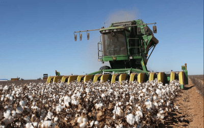 In the Plains, the rain forecast for drought-stricken parts impacted wheat prices. The crop is still in bad shape, but there may be hope for Texas farmers?
