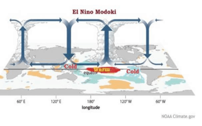 El Nino or El Nino Modoki? What are the differences and how may  commodities be affected?