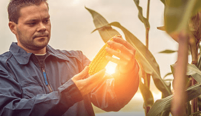 The WPO index: Ideal Midwest weather conditions will continue for corn and soybean farmers.