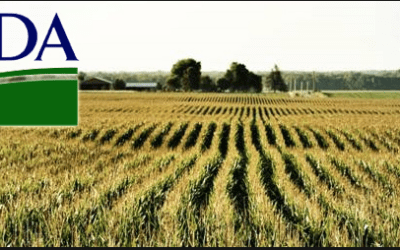 USDA report for wheat and cotton result in a bullish reaction. Where are the areas of global crop stress?