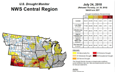 A look at global drought and now western corn/soybean belt has to be watched for heat and dryness in August