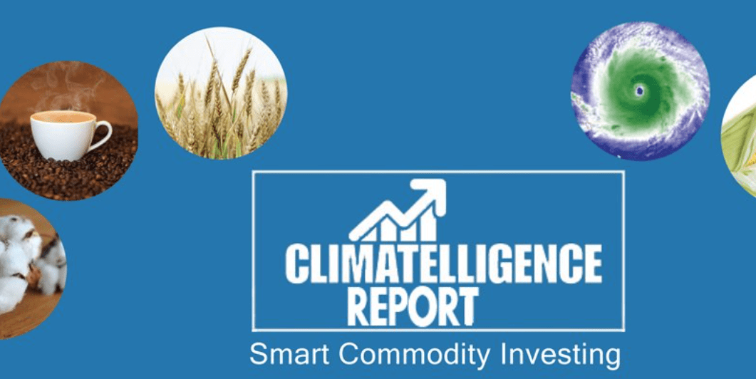 World on fire, commodities running wild, find out more about our new weekly CLIMATELLIGENCE REPORT