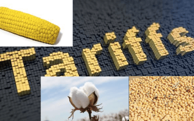 Why additional Trade Tariffs and ideal summer weather has pressured several agricultural commodities, but more problems for Australia’s crops