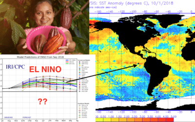 Has cocoa prices bottomed? Commodities breaking out with higher crude oil, Brazil Real and talk of El Nino