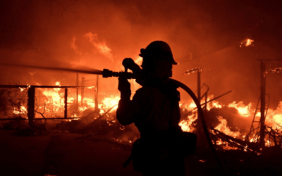 A very cold U.S. winter, but that does not change the longer term prospects of Climate Change