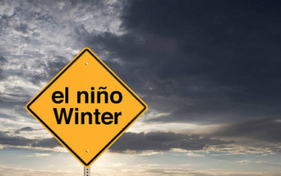 What happened to the cold U.S. winter, while Brazil dryness grows for crops?