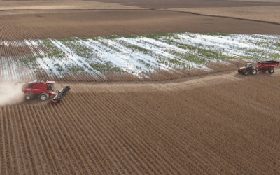 Prevent plant options for farmers as Midwest flooding continues?