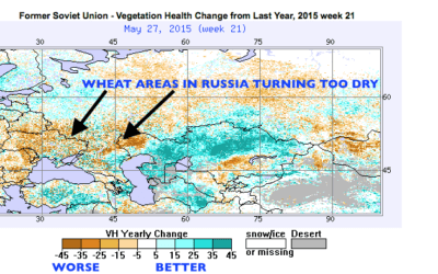 How a positive Indian Dipole and a lingering El Niño signal pose risks for Russian and Australian wheat