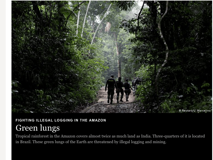 Lungs of the earth are suffocating: Potential effects on hurricanes, Brazil and commodities