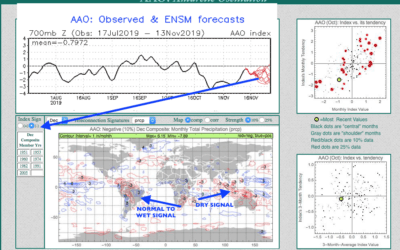The easing of the Brazil Mini drought and Brazil Real