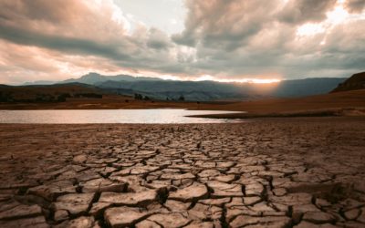 The Long Standing Northern Brazil Drought And Why It Is Easing