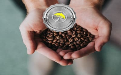 Too Wet For Brazil Coffee And Too Dry For Ghana/Nigeria Cocoa