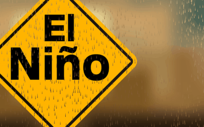 Despite El Nino Conditions, A Developing Drought To West African Cocoa Eased