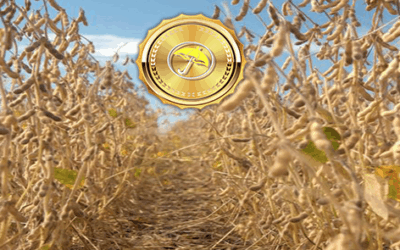 Southern Brazil Dryness is Affecting Soybean Yields. Coffee Prices Explode on Weather and Coronavirus