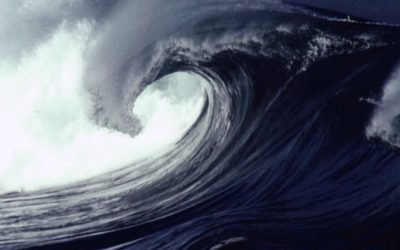 Oil Price Tsunami: How It Happened And The Impact on Corn Prices and Renewables