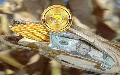 What Climatic Factors Are Needed To Rally Corn Prices?  Developing Dryness In Vietnam for Coffee