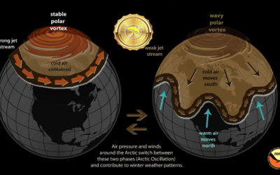The Fake Out Rally In Natural Gas On The Late Season Polar Vortex And Wheat Trade Idea