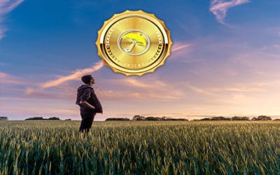 Looking At One Potential Analog To Predict Midwest Grain Weather And Ideas For Global Commodities