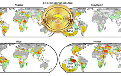 More About La Nina, The SOI Index, Best Weather Spider, Heat Ridge In Western Corn and Cotton Belt?