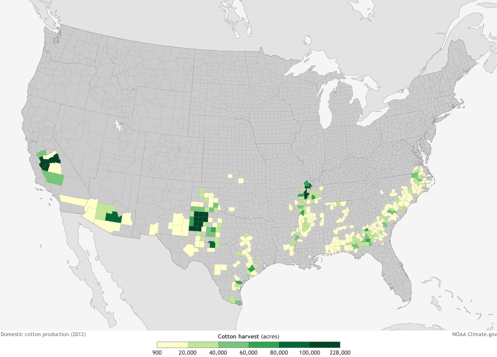 USA cotton producing counties