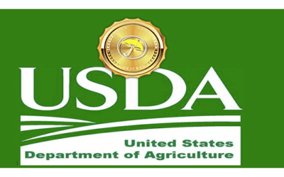 USDA Crop Report Wednesday, A Look At Growing World Grain Crops. Cocoa Outlook And My Weather Spider