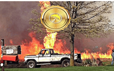 Record Global Heat, the Historic Firenado In California, Global Angular Momentum, MJO, Indian Dipole