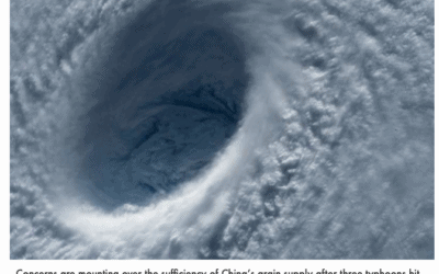 Hope For US Corn Farmers. Recent China Typhoons Adding To Chinese Grain Demand Needs