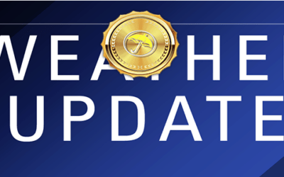 Why Are Coffee Prices Still Falling? Natural Gas Collapses on Bearish October Weather Forecasts, Updated Spider Sentiment