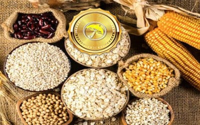 The Explosion In Grain Prices &  A Look At  November Forecast For Natural Gas Market