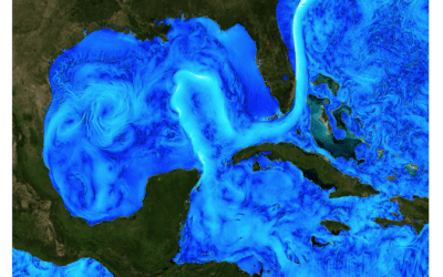Where Are World Crop Stress Regions? Another Hurricane And What Is The Loop Current?